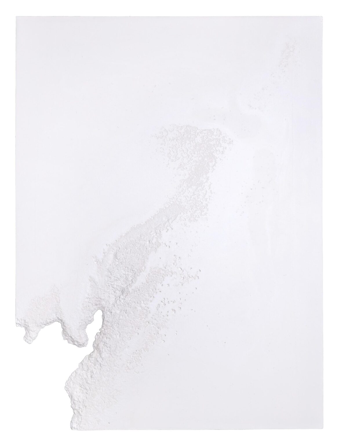 O.T. (Desiccation I) - Sophie Dvoř&aacute;k 