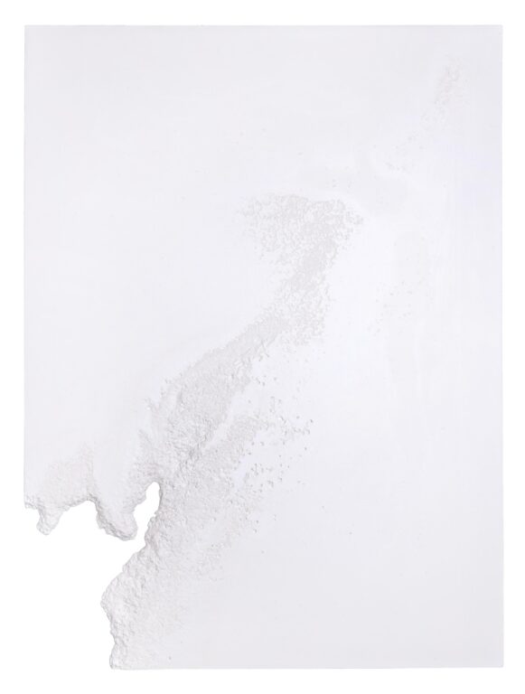 O.T. (Desiccation I) - Sophie Dvořák 