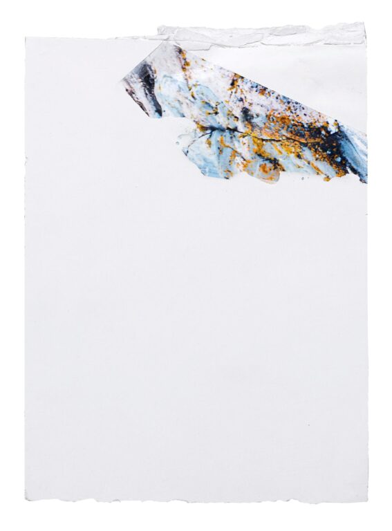 south-southeast III - Sophie Dvořák 