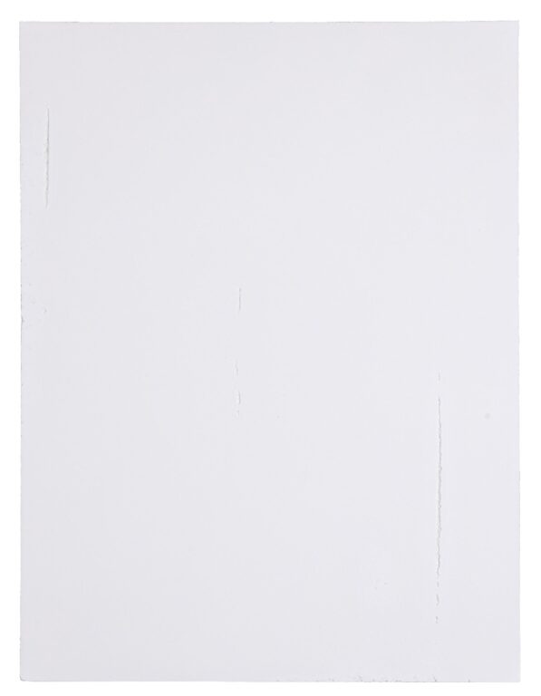 column defect V - Sophie Dvořák 