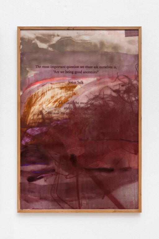 are we being good anchestors #2 - Veronika Dirnhofer 