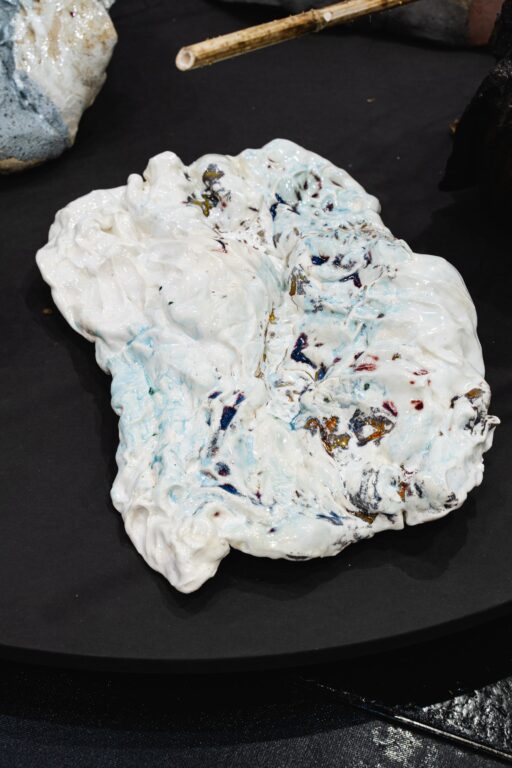 Metamorphose - Veronika Dirnhofer 