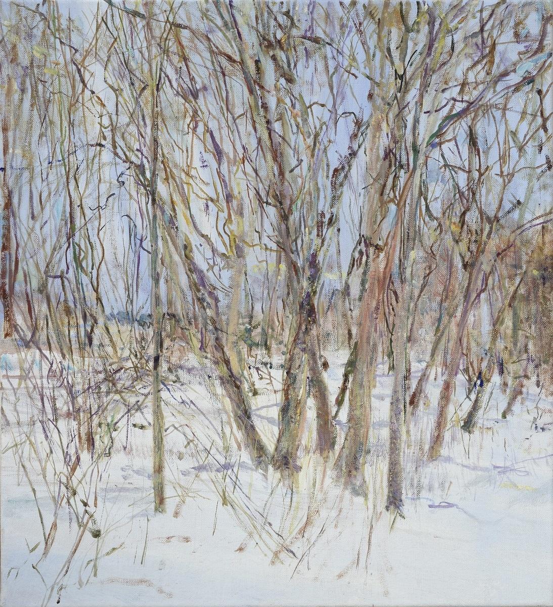 Park Februar #2 - Markus Orsini-Rosenberg 