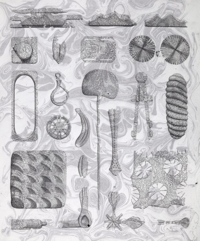 The Dizziness of Ordering #6 - PAYER GABRIEL 