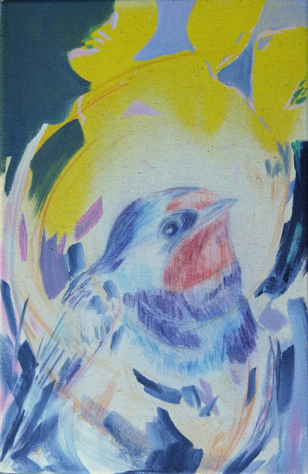 yellow_halo_swallow - Elisabeth Wedenig 