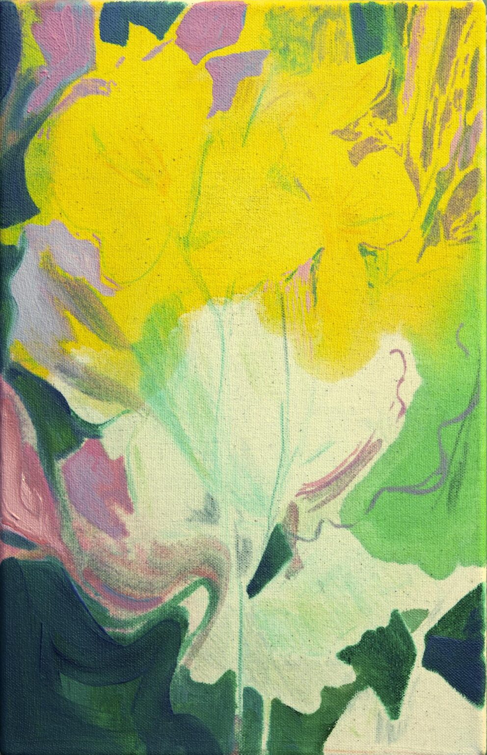 Chelidonium majus - Elisabeth Wedenig 