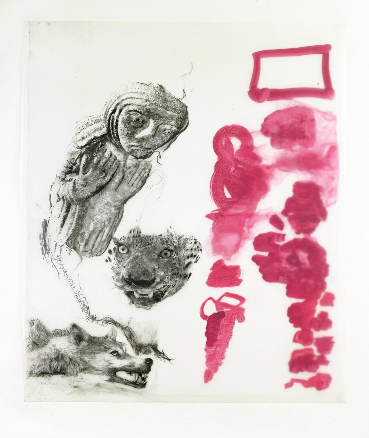 Formen des Handelns / Carelessly Doomed - Iris Andraschek 