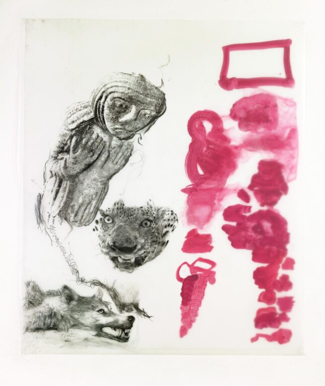 Formen des Handelns / Carelessly Doomed - Iris Andraschek 