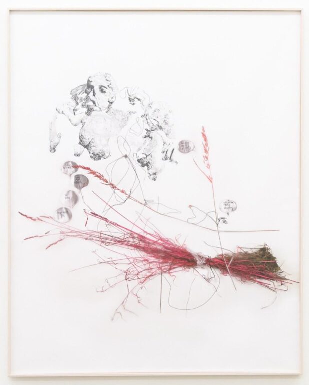 Leergeräumtes Feld (2-teilig) - Iris Andraschek 