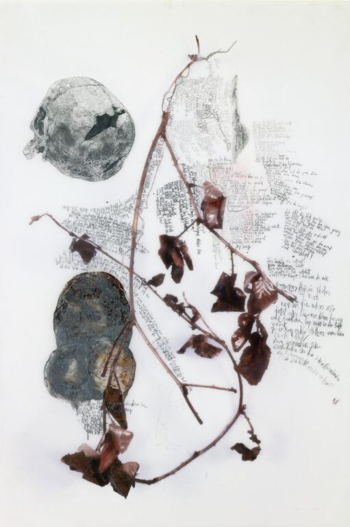 Alle Zukunft fließt ins Innere - Iris Andraschek 