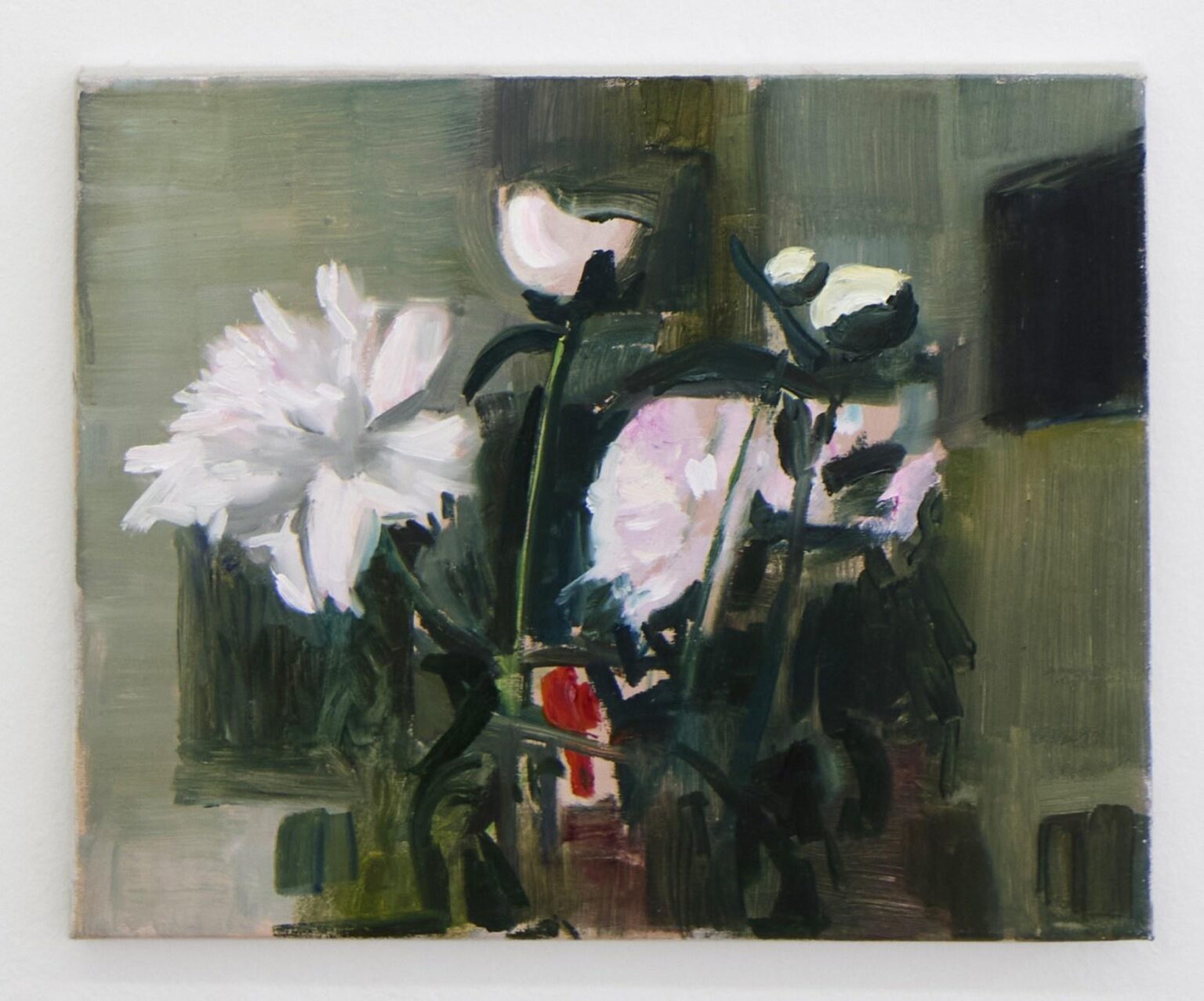 F&uuml;nf rosa Pfingstrosen - Alex Amann 