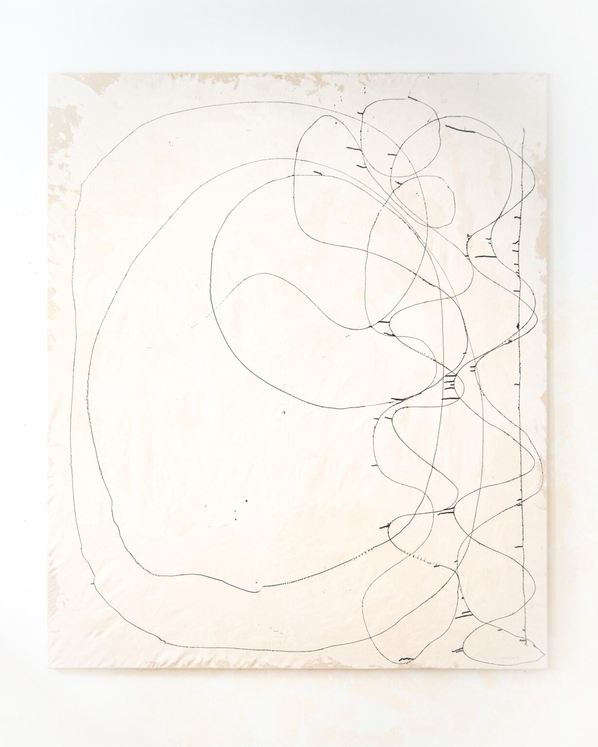 O.T. - Sofia Goscinski 