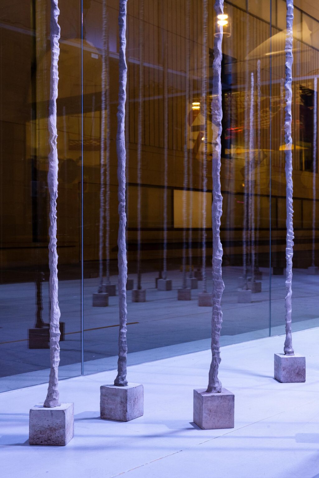 Desert Plants - Sofia Goscinski 