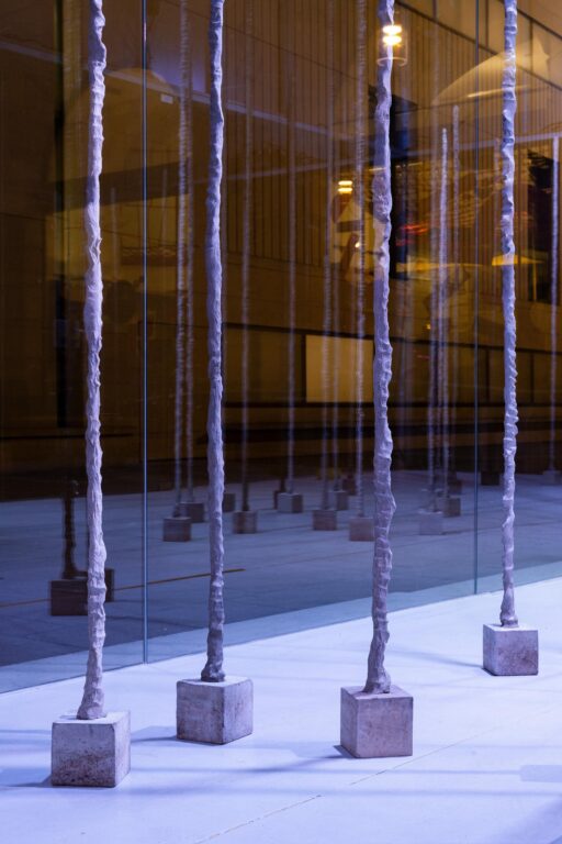 Desert Plants - Sofia Goscinski 