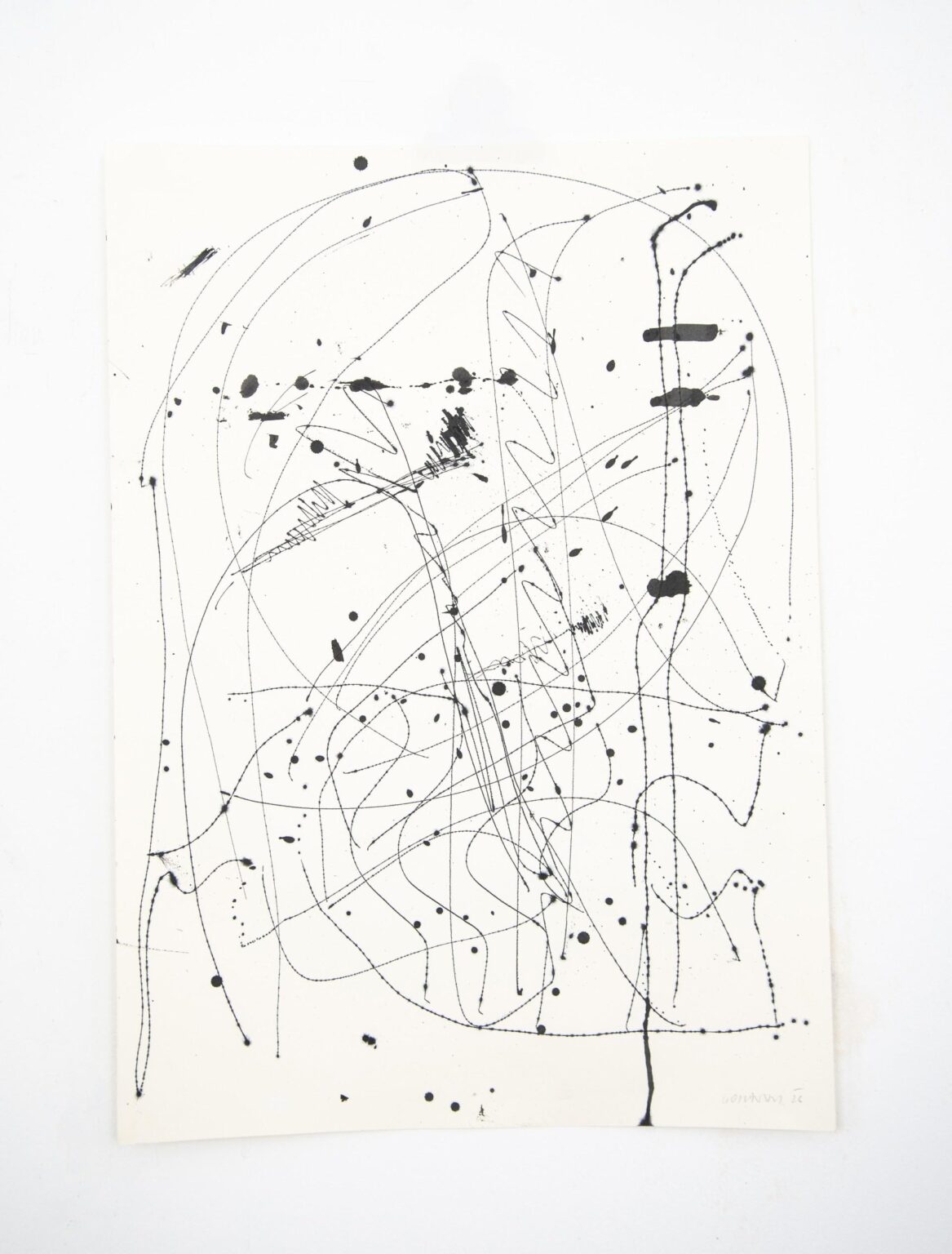 O.T. - Sofia Goscinski 