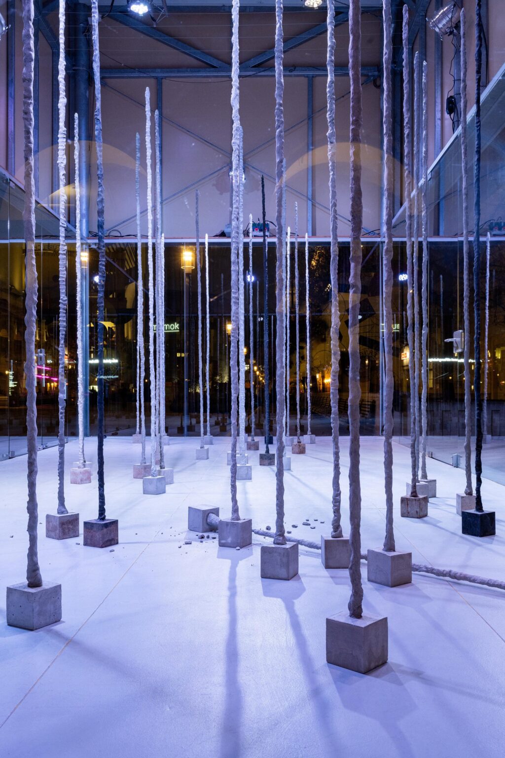 Desert Plants - Sofia Goscinski 