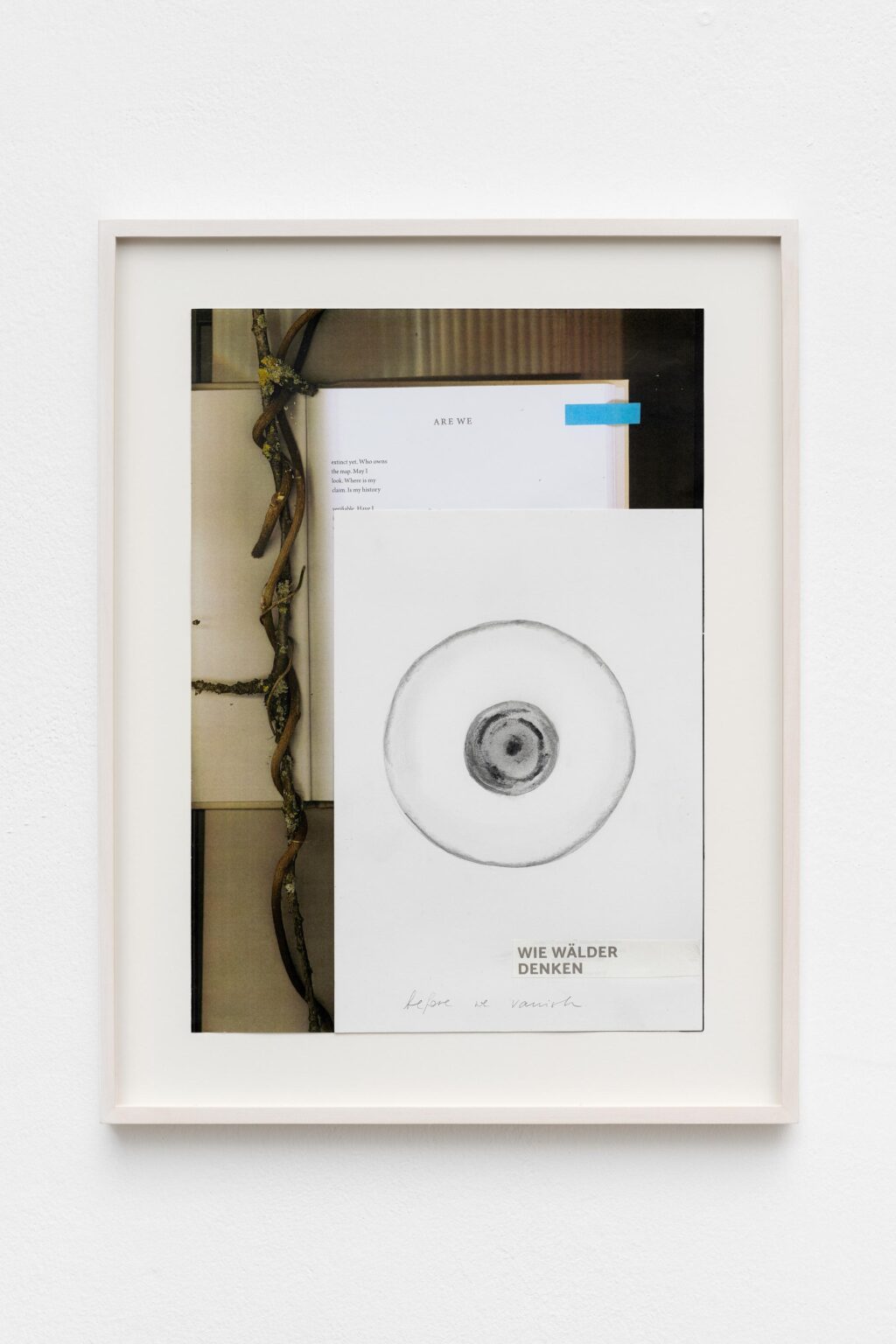 wie w&auml;lder denken - Veronika Dirnhofer 