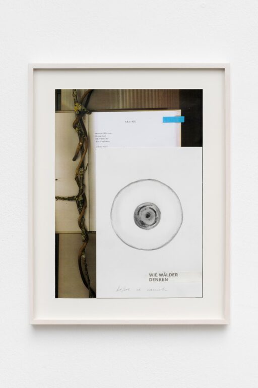 wie wälder denken - Veronika Dirnhofer 