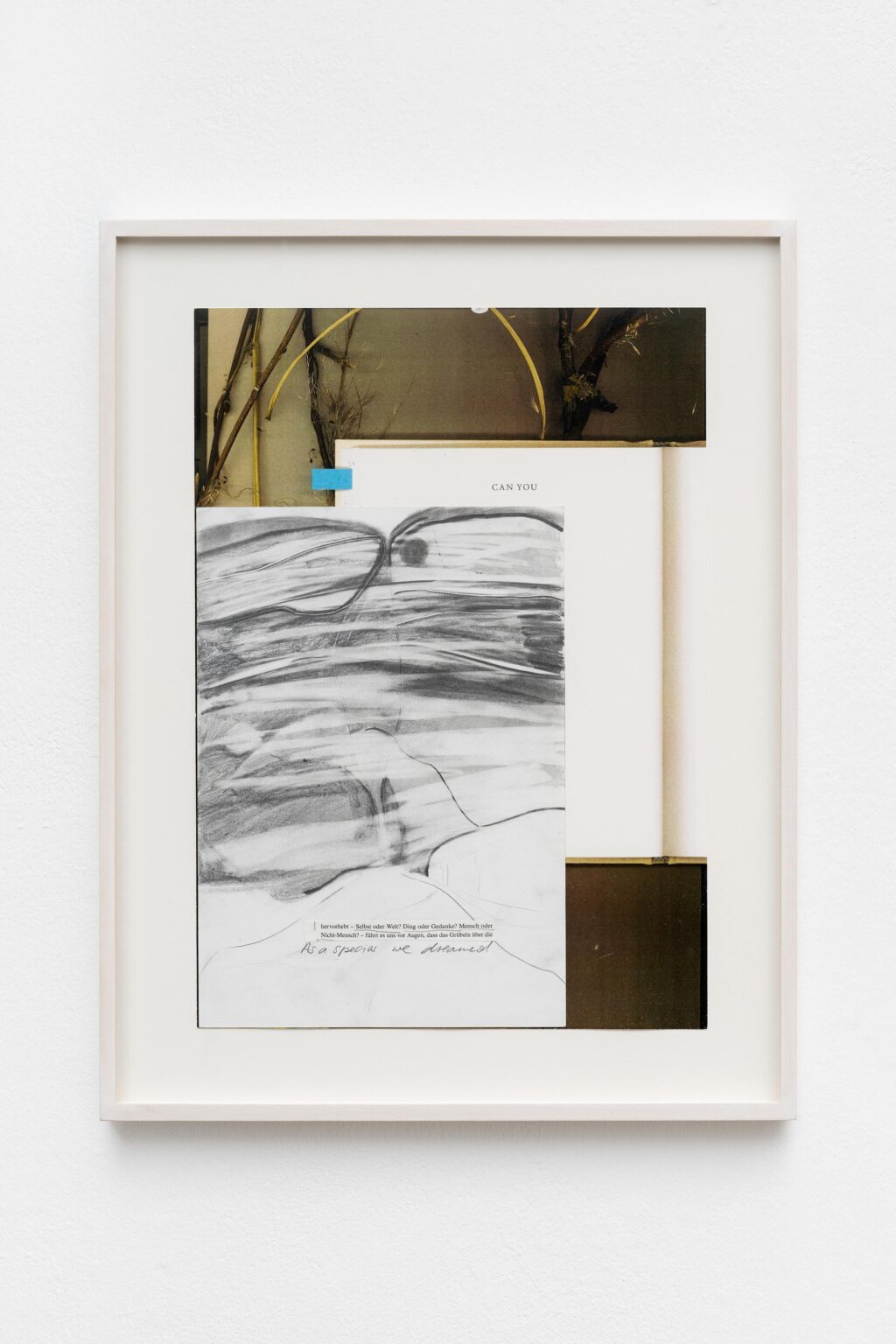 CAN YOU - Veronika Dirnhofer 