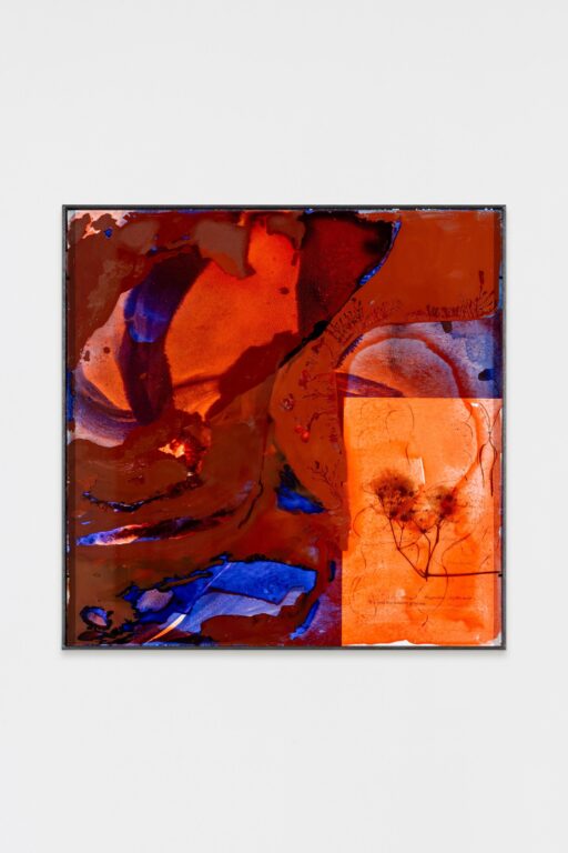 Symbiose überall - Veronika Dirnhofer 