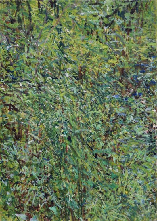 Park, Farn, Gebüsch - Markus Orsini-Rosenberg 