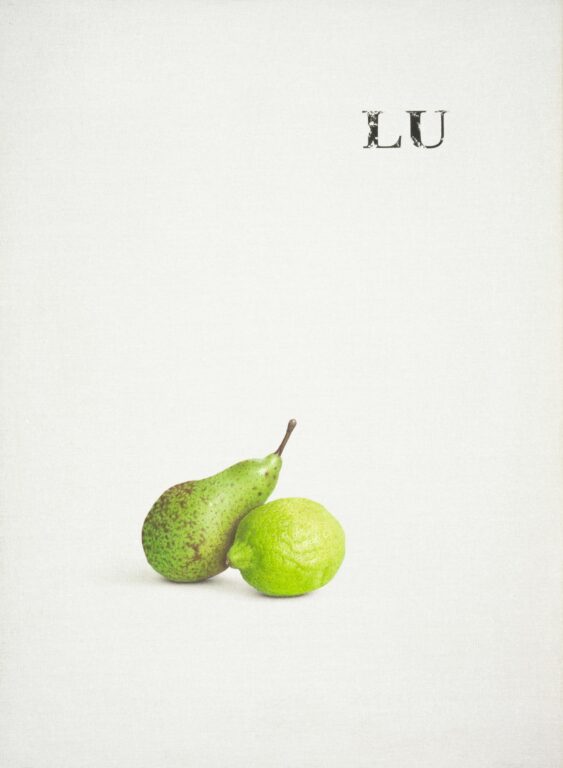 Katze - Alfredo Barsuglia 