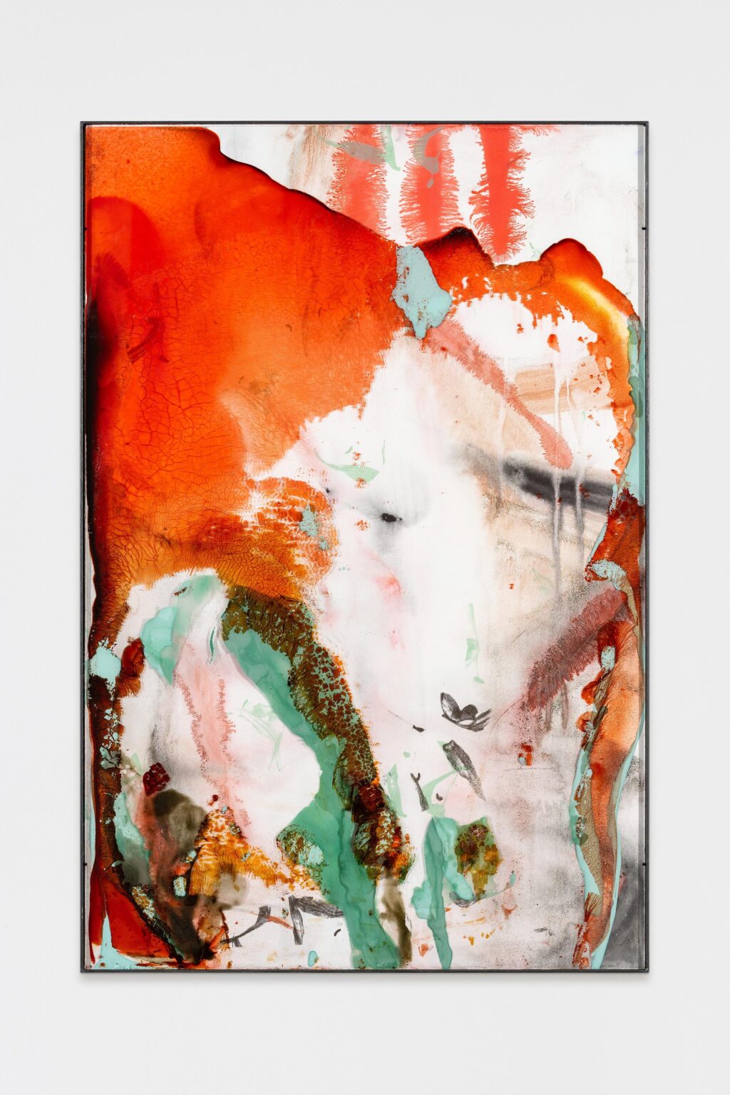 Who root - Veronika Dirnhofer 