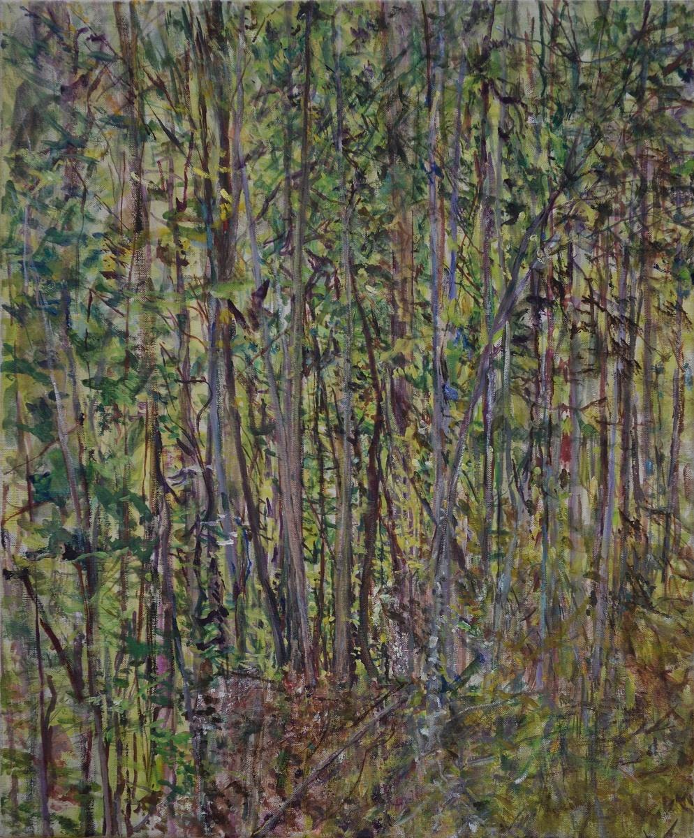 Hochwald - Markus Orsini-Rosenberg 