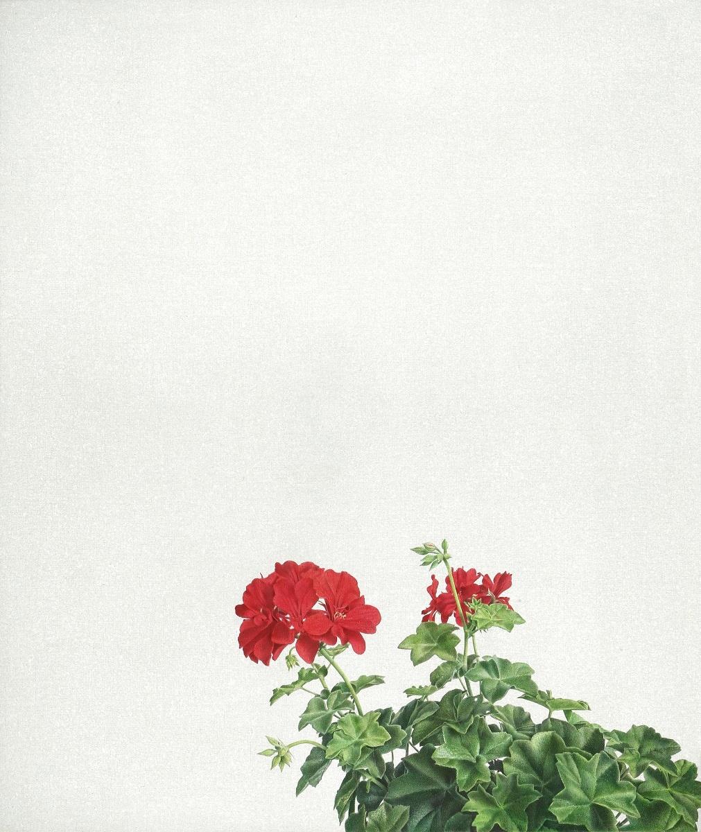 Dezember - Alfredo Barsuglia 