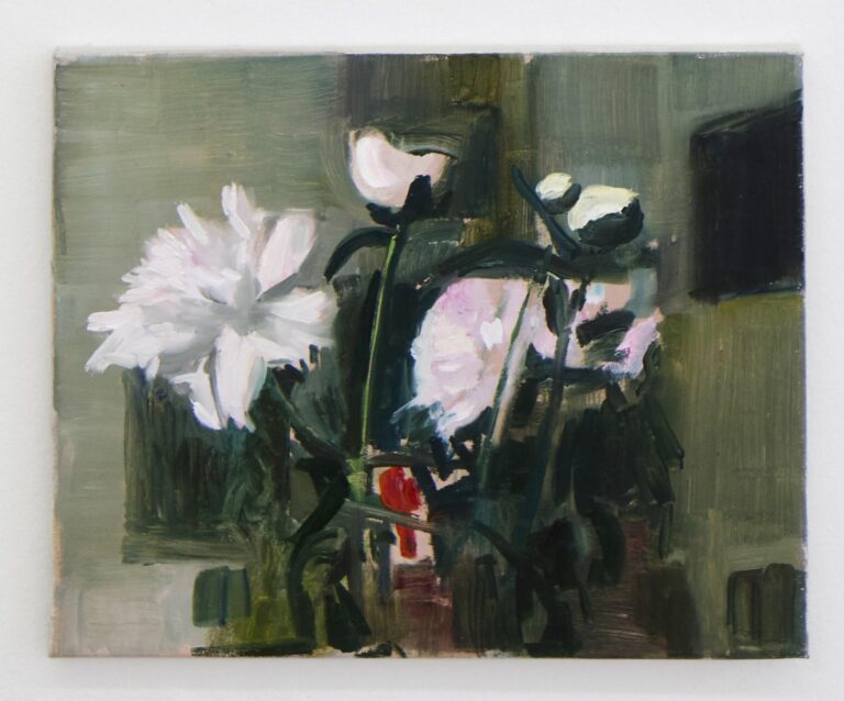 Fünf rosa Pfingstrosen - Alex Amann 