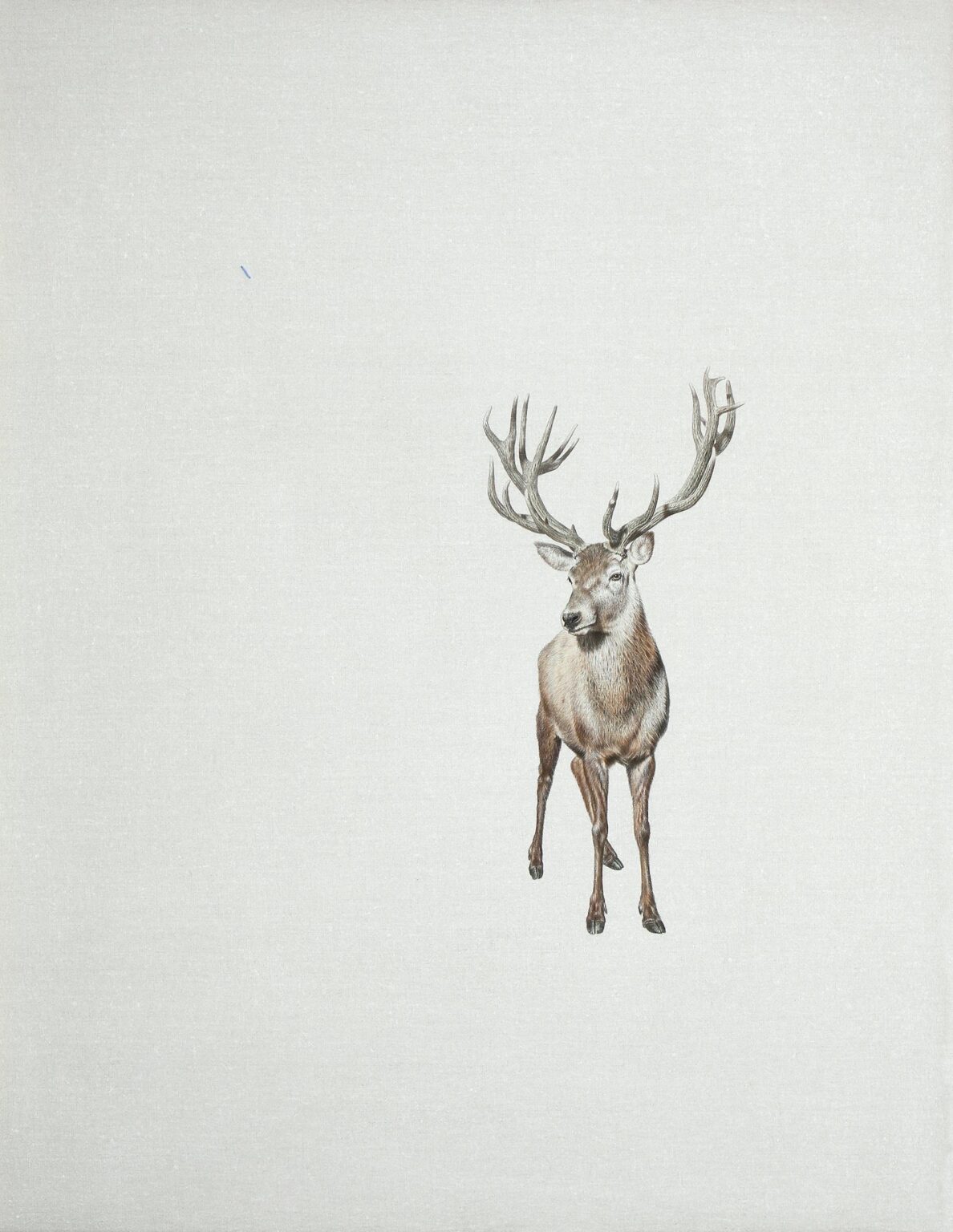 Wolfgang - Alfredo Barsuglia 