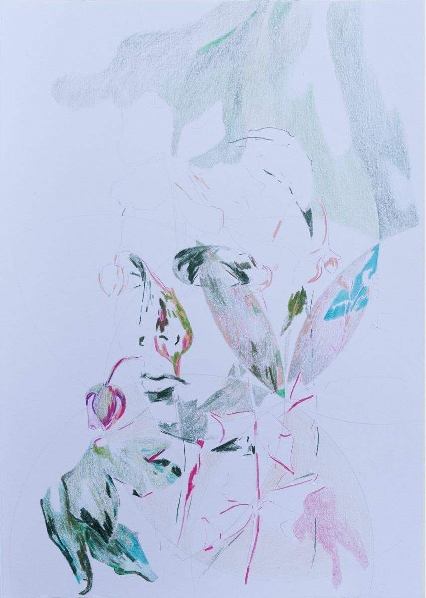 Wir warten nicht aufs Paradies V - Elisabeth Wedenig 