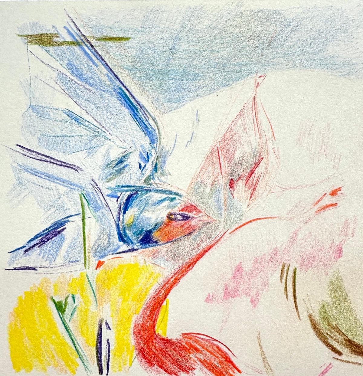 Follow the Golden-eyed Swallow (Zeichnung 1) - Elisabeth Wedenig 