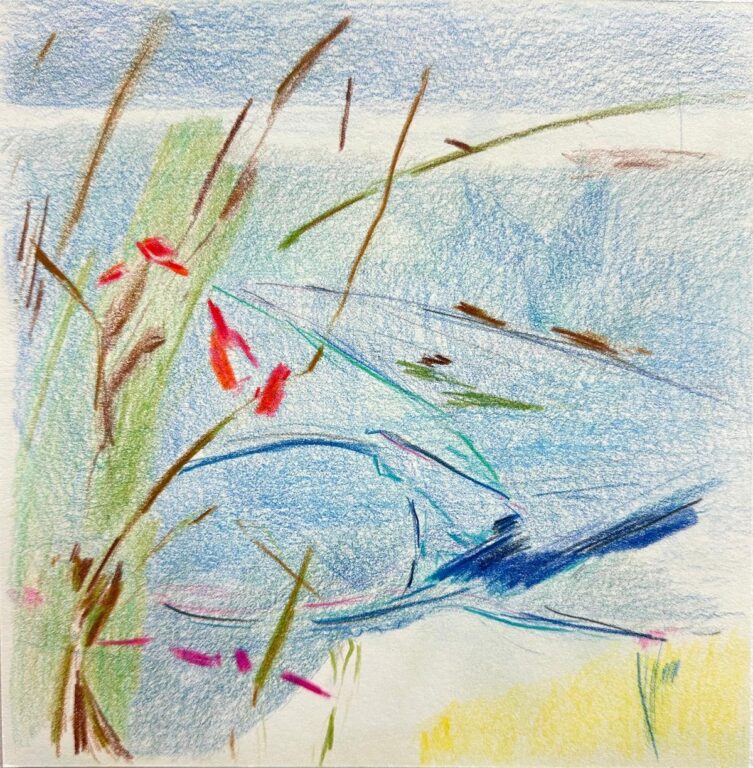 Follow the Golden-eyed Swallow(Zeichnung 2) - Elisabeth Wedenig 