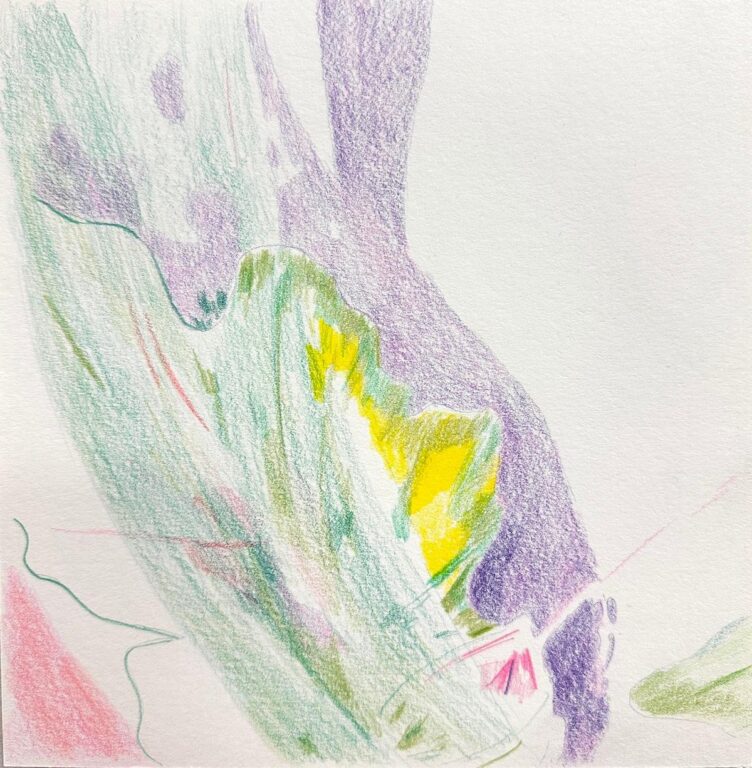 Follow the Golden-eyed Swallow (Zeichnung 4) - Elisabeth Wedenig 