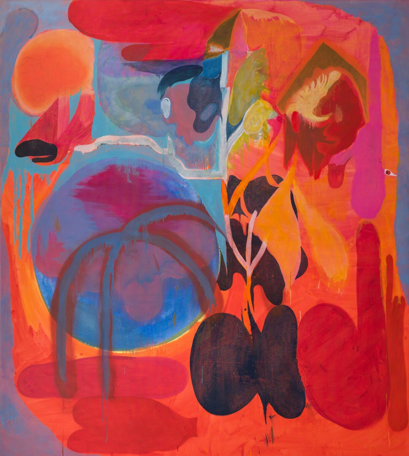 The only Organ of Contact - Daniel Domig 