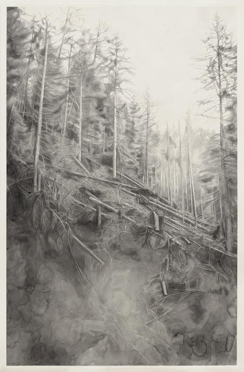 Kosten 3 - Alexandra Kontriner 