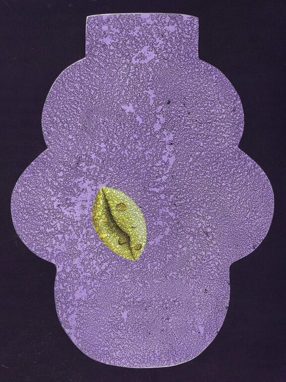 Sekundärobjekte (No.03) - PAYER GABRIEL 