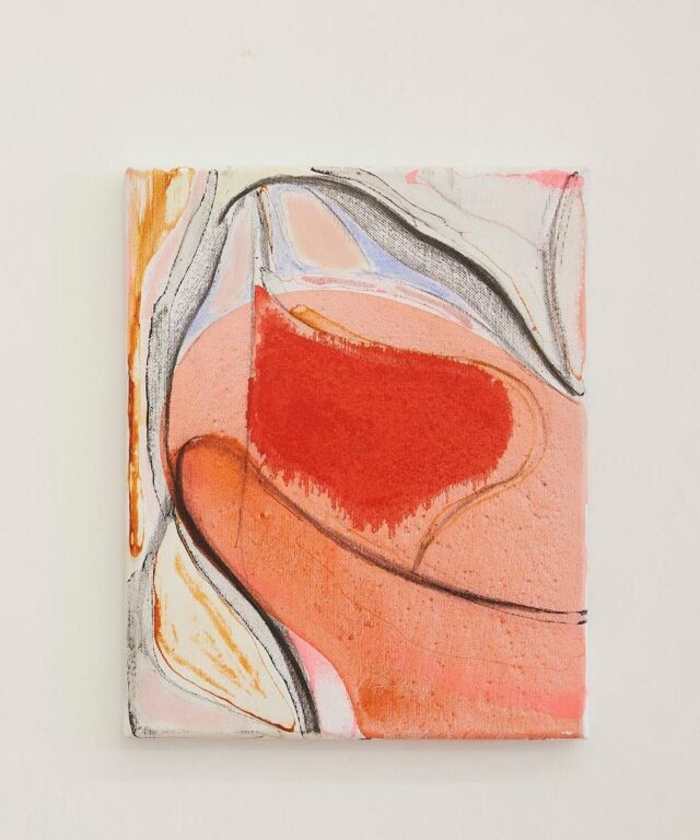 AD #6 - Veronika Dirnhofer 