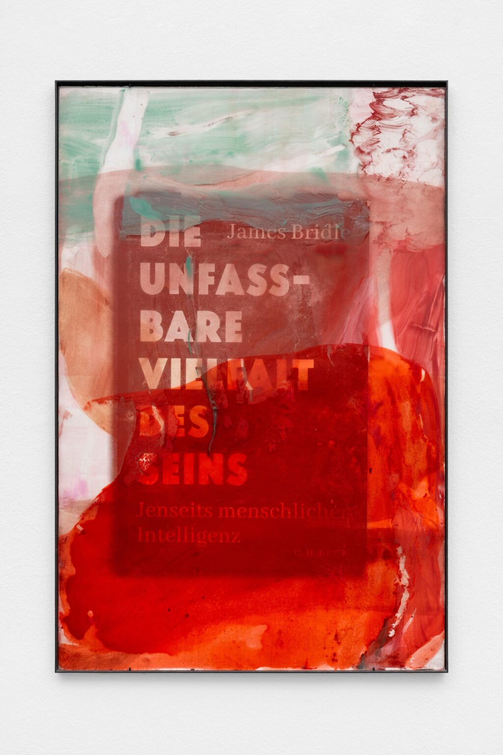 die unfassbare vielfalt - Veronika Dirnhofer 