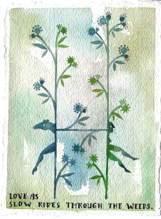 Love as slow Rivers through the Weeds - Anna Kohlweis 