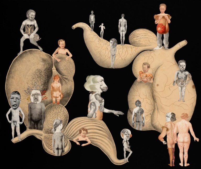 Ines Doujak – Museu de Arte Contemporânea, Lissabon 