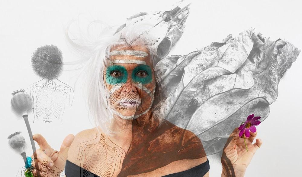 Transition II - Margot Pilz 