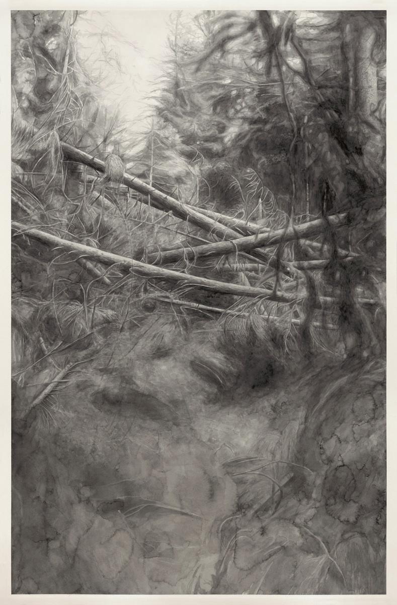 Kosten 2 - Alexandra Kontriner 