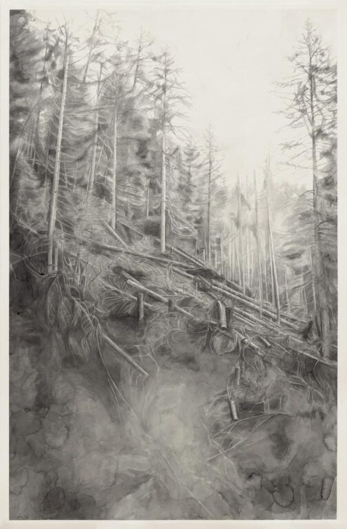 Kosten 3 - Alexandra Kontriner 