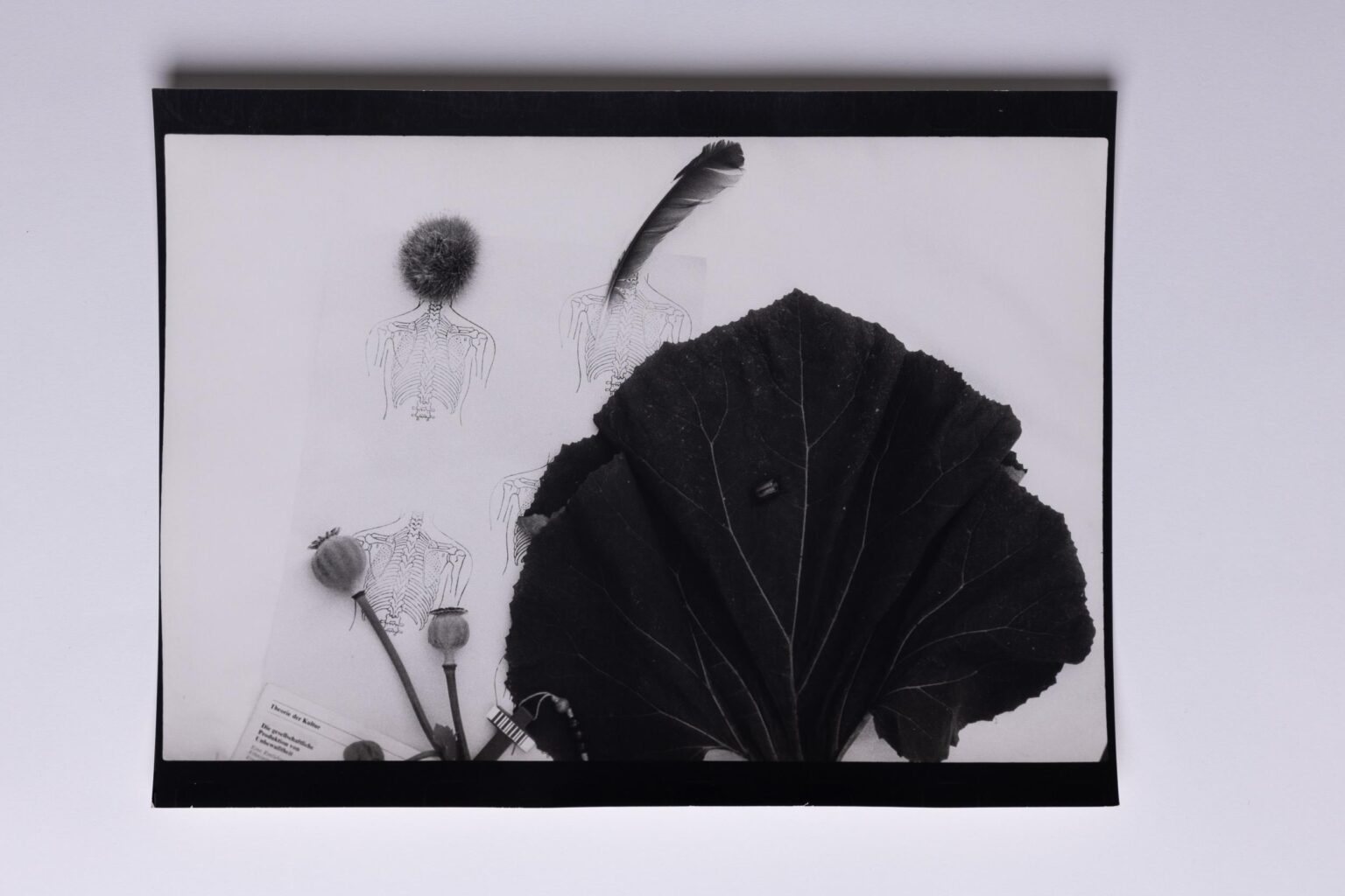 Theorie der Kulturen, 3/5 Extra - Margot Pilz 