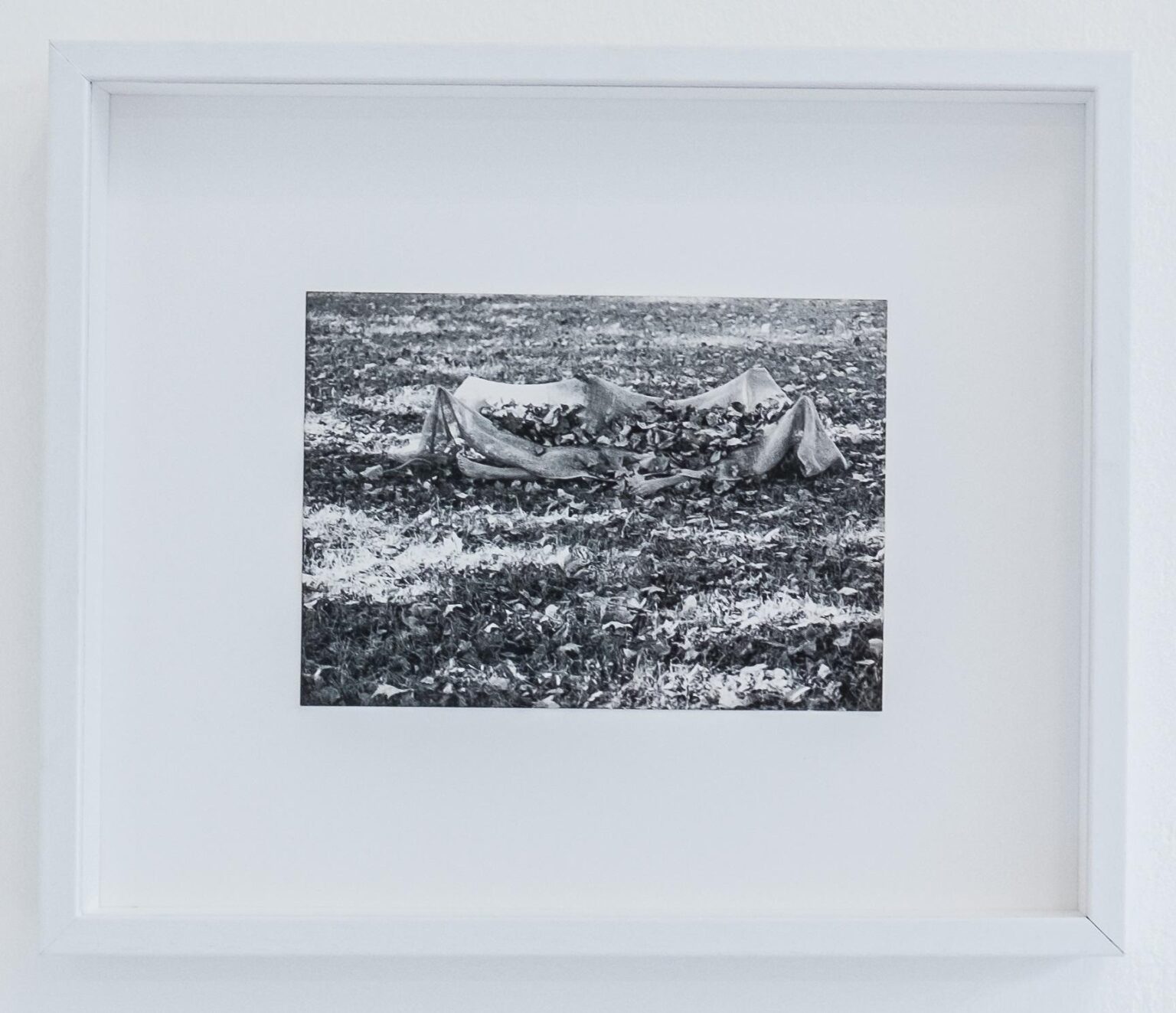 Meditation - Margot Pilz 