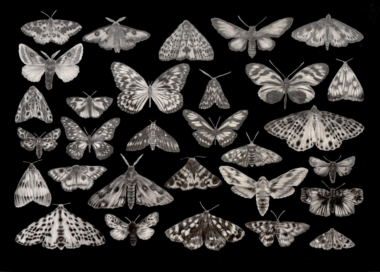 Night patterns - Katya Frei 