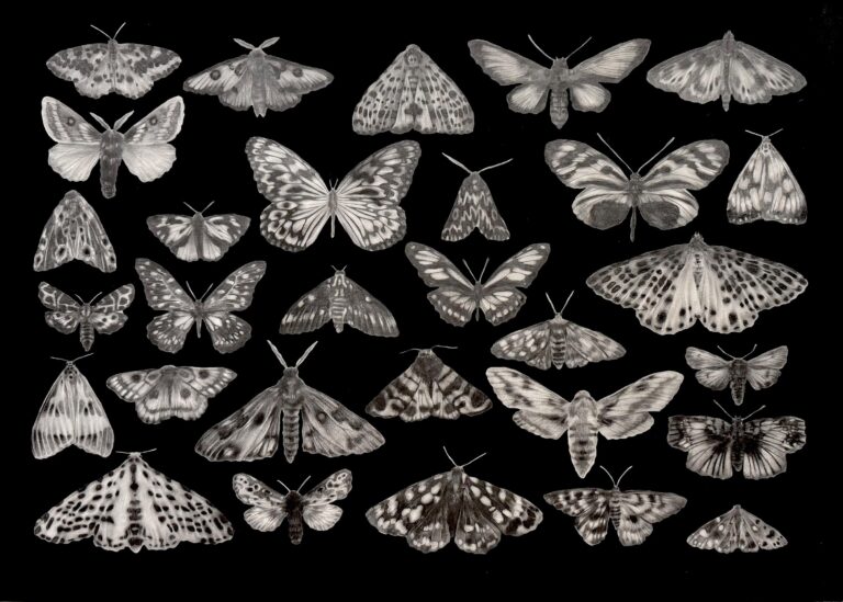 Night patterns - Katya Frei 