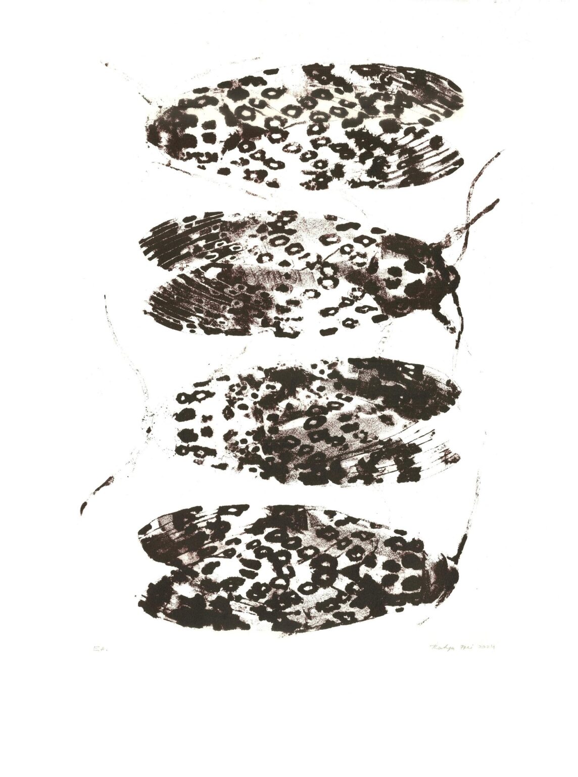 Leopard moth - Katya Frei 